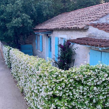 Vila Majda Tar-Vabriga Extérieur photo
